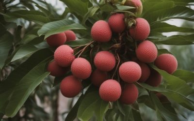 Личи: Экзотическое Дерево и Его Ароматные Плоды ð¿ð