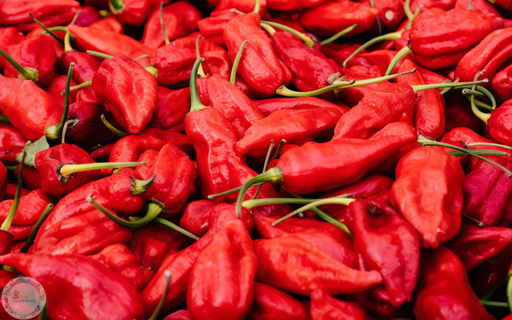  Гост (Ghost Pepper)