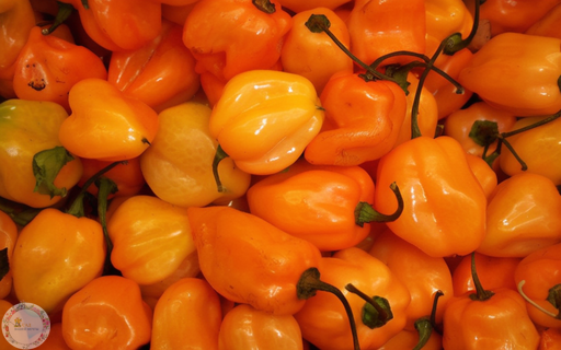  Хабанеро (Habanero)